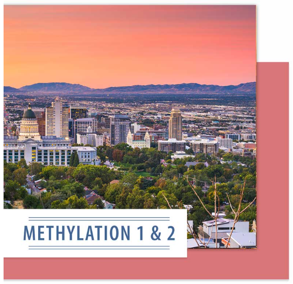 Methylation 1 & 2 Seminar - 1 Attendee