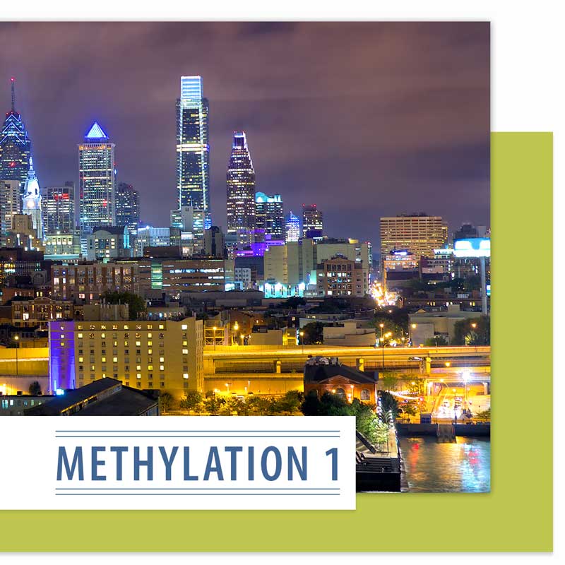 Methylation 1 Seminar 2021