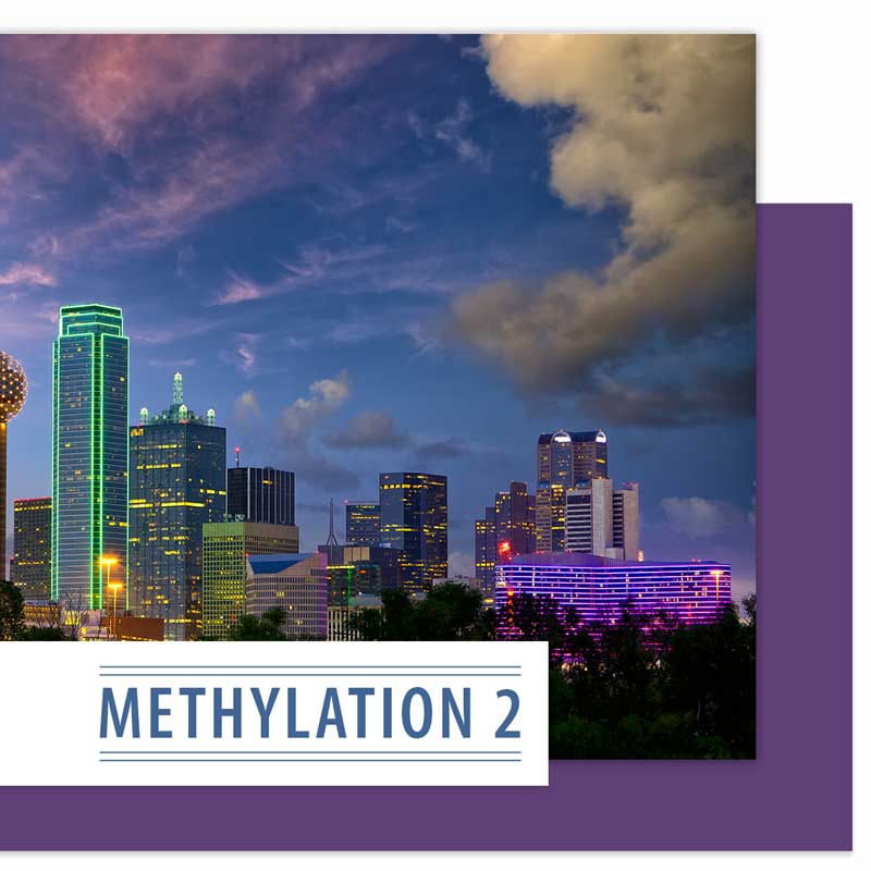 Methylation 2 Seminar 2021